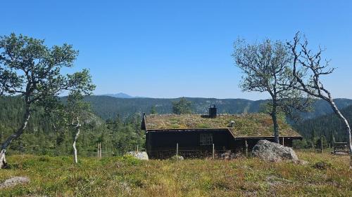 Vinje Ski Chalet | Magic View - Unspoiled nature - Summer mountain pasture with goats