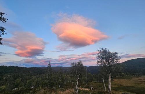 Vinje Ski Chalet | Magic View - Unspoiled nature - Summer mountain pasture with goats