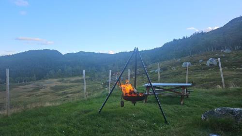 Vinje Ski Chalet | Magic View - Unspoiled nature - Summer mountain pasture with goats