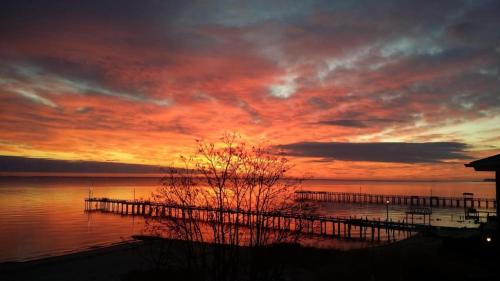 Port Republic House | Magical Bayfrnt Home, Pier, Beach, Fossils, Trails