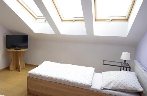 Borcz House | Magnat w Borczu