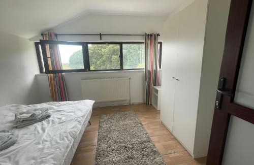 Magurele Apartment | Magurele forest