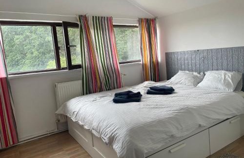 Magurele Apartment | Magurele forest
