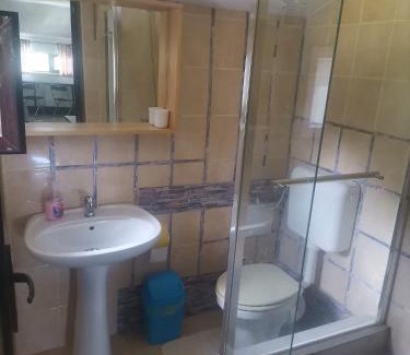 Magurele Apartment | Magurele forest