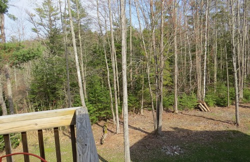 Sebascodegan Island Apartment | ~Maine Glamping at its Finest~