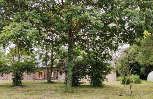 Plelo House | Maison Bretonne sur Grand Parc Arboré a 10 Minutes de la Côte