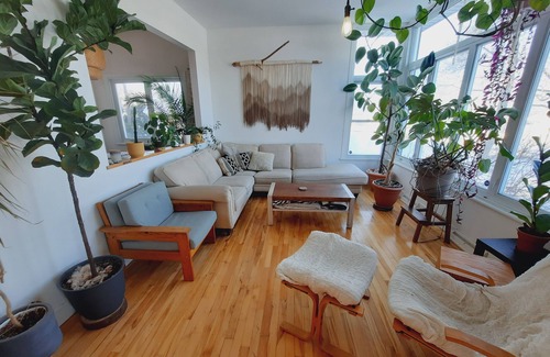 Plateau House | Maison - La forêt chez soi