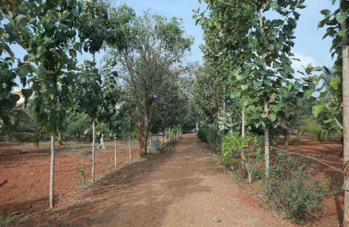 Mysore House | Maitree Serenity Farm Stay
