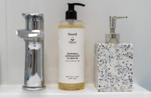 Czyzyny Apartment | Malila Premium Apartments Cracow Tauron Arena Lema 15E