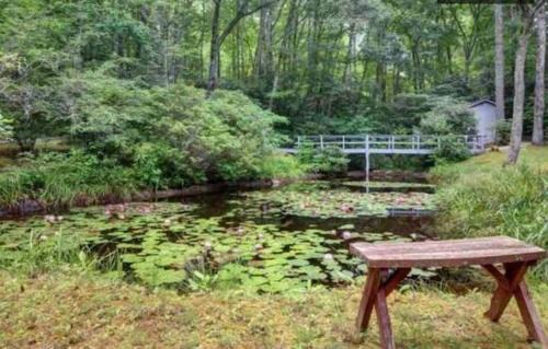 Lake Sequoyah House | Mama Bear's Cottage