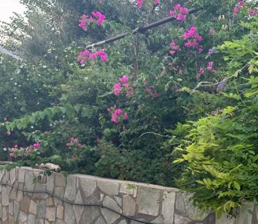 Alika House | Mani Spot in Almiro