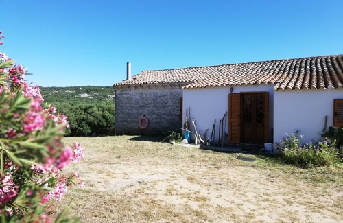 Luogosanto House | Mansion - Luogosanto - House with character in the countryside at 15km from all the beaches