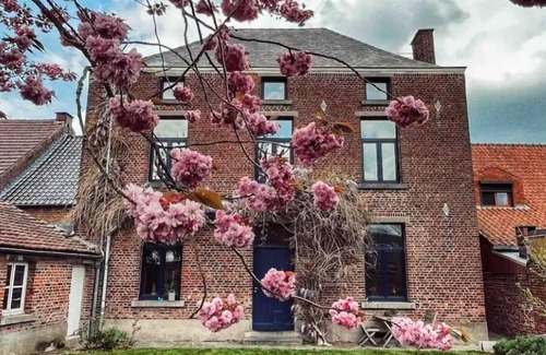 Lens House | Mansion near Pairi Daiza
