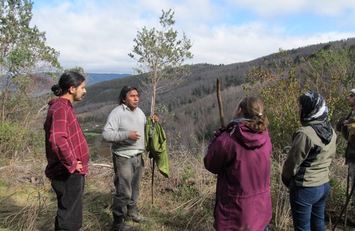 Contulmo House | Mapuche Trekan