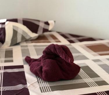 Mararikulam House | Marari Joy's Beach Villa