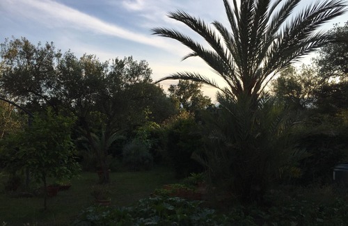 Ghisonaccia Apartment | Mare è Monte 4,5 km from the sea. Ideal for touring Corsica