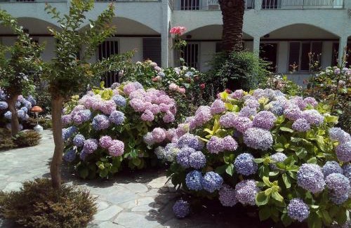 Preveza Apartment | Margarita Apartments