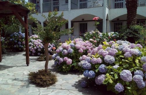 Preveza Apartment | Margarita Apartments