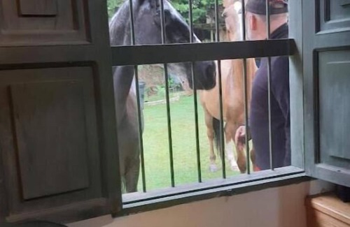 Bouvet Island House | Mariapalitos agricultural farm in Marinilla.n