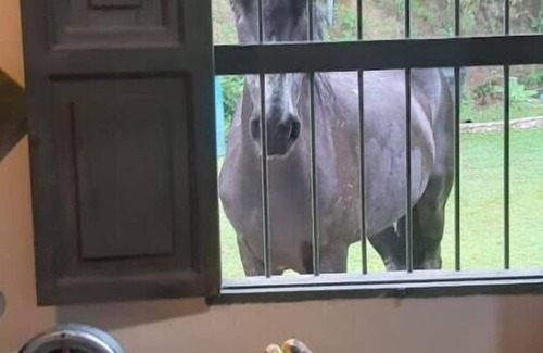 Bouvet Island House | Mariapalitos agricultural farm in Marinilla.n