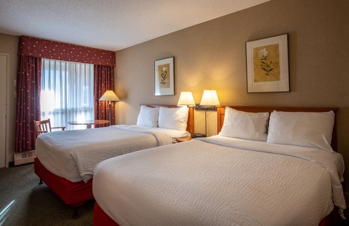 Jasper Hotel | Marmot Lodge
