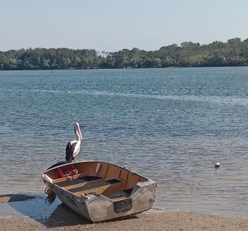 Maroochydore Bed & Breakfast | Maroochydore Waters BnB