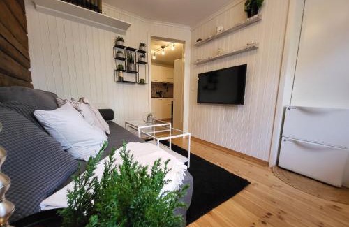 Trondheim City Centre Apartment | Mars Modern and Cozy Apartment in the centre, Free Parking