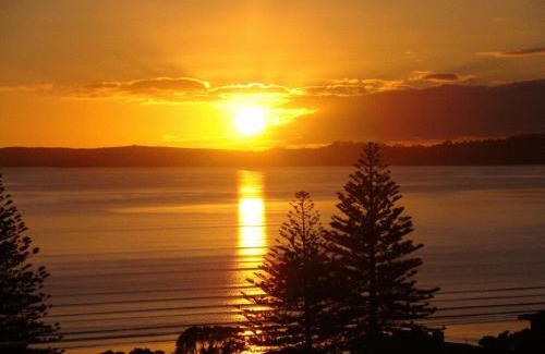 Orewa Apartment | Marsden Suites Nautilus Orewa