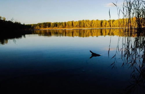 Gross Doelln Resort | martas Gästehäuser Groß Väter See