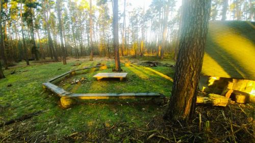 Gross Doelln Resort | martas Gästehäuser Groß Väter See