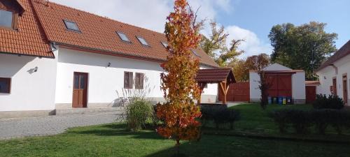 Plzen 2-Slovany Apartment | Martinův dvůr