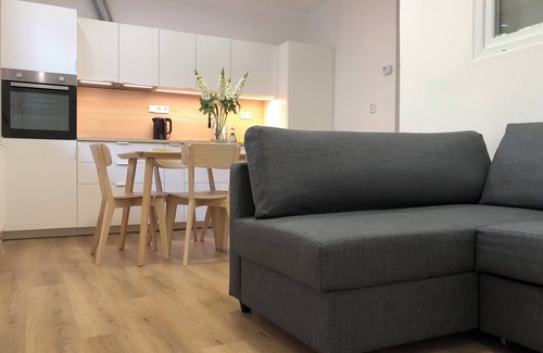 Zizkov Apartment | Marvelous 6-bedroom apartment in Hlavní město Praha