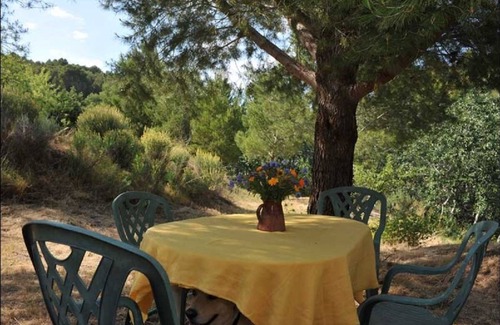 Calce House | Mas Ancien en Pleine Nature