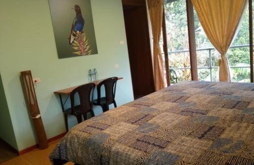 Mashpi Cabin | Mashpi Amagusa Lodge
