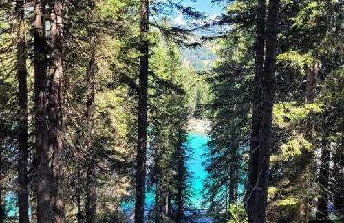 Sant'Antonio di Mavignola Bed & Breakfast | Maso Pin