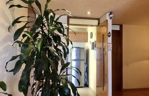 Contadero Apartment | MASTER BEDROOM that is inside the Apartment so close to the Santa Fe Shopping Plaza and Corporate Zone. Small Condominium quiet and with 24 hour security all year. Nearby Santa Fe and surrounded by small grocery stores, pharmacies, dry cleaners, Gyms,.