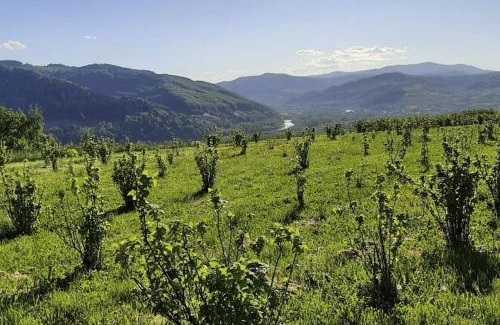 Łacko House | Maszkowice Domek nad Dunajcem na szczycie gory