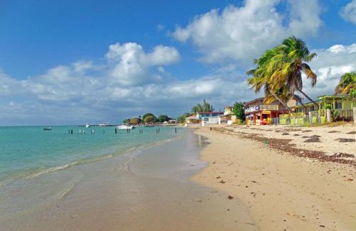 El Combate Resort | MAVS COMBATE BEACH CLUB