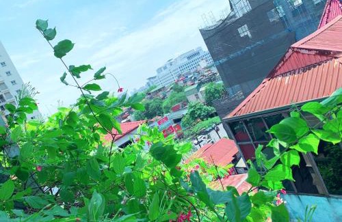 Hai Ba Trung House | MAY - AMAYZING CITY View