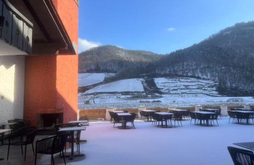 Lochmuhle Hotel | May Hotel Mayschoß