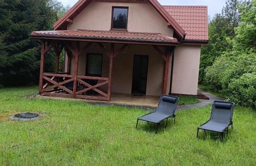Kierwik House | Mazury, Domek pod Lasem