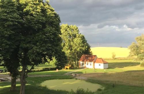 Groß Wokern Apartment | McIntosh