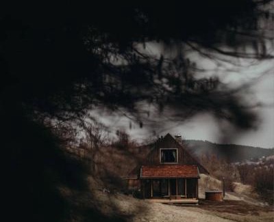 Baligrod House | Mech i brzoza