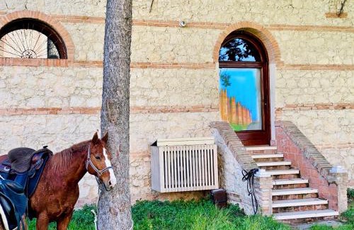 Montagnana House | Medieval Relais - Top location