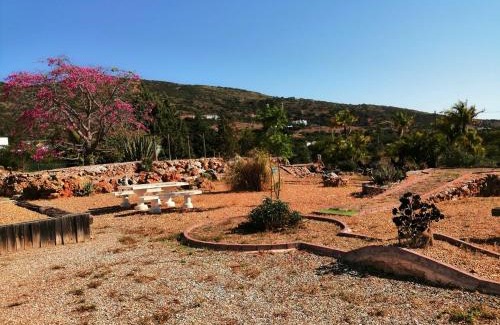 Colmeal House | Medronhal Faro EM 520 - 2- casas de férias medronhal