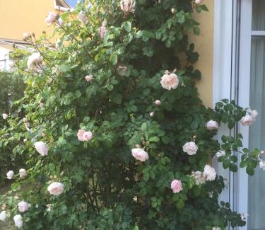 Graal House | Meeresbrise