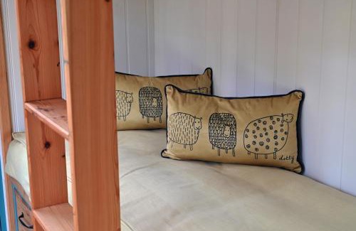 Carmarthen Cabin | Meidrim Meadows luxury shepherd's hut