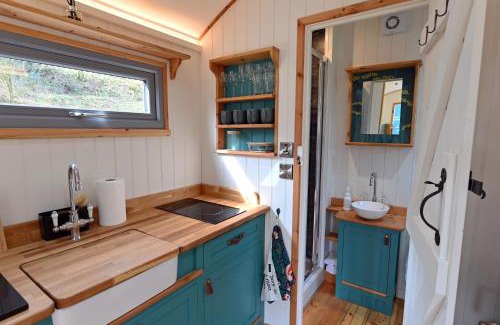Carmarthen Cabin | Meidrim Meadows luxury shepherd's hut