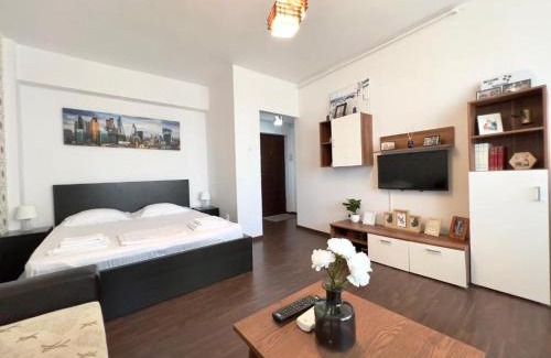 Ploiesti Apartment | Mercur Home