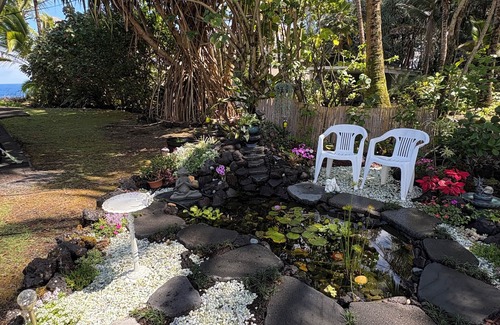 Keaau House | Mermaid’s Lookout WOW the views! Ocean Front, full lanai, heated pool & AC.